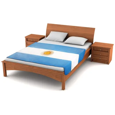 Argentina Flag Design Blanket: Show Support with the Sun of May
