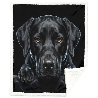 Black Labrador Portrait Blanket: Loyal Dog Art for Cozy Days