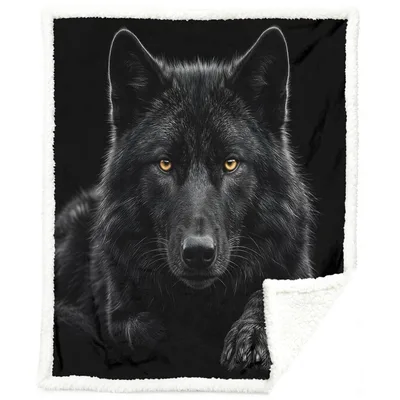 Black Wolf Portrait Blanket: A Gaze That Commands Attention