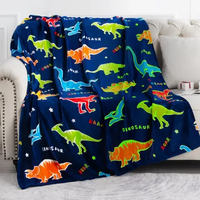 Colorful Dinosaurs Pattern Blanket No. 2