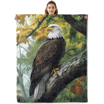 Bald Eagle on Maple Blanket: Majestic Bird Perched on Autumn Branch