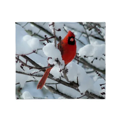 Cardinal in Snowy Branches Blanket: Bright Red Bird on Winter Twigs