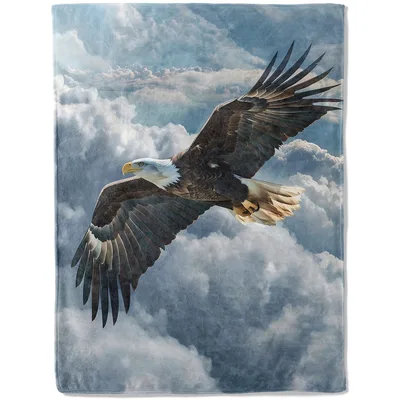 Soaring Bald Eagle Above Blanket: Majestic Bird in Flight