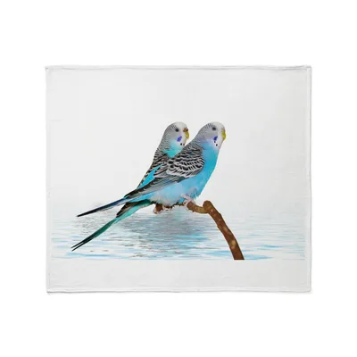 Parakeet Friends on Branch Blanket: Blue Budgies Perched Together