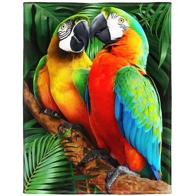 Macaw Parrots Pair Portrait Blanket: Vibrant Tropical Birds on Branch