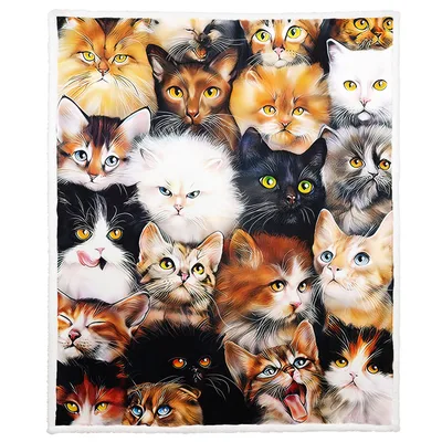 Cat Faces Blanket: A Crowd of Curious Kitties