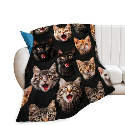 Funny Cats Pattern Blanket for Cat Lovers and Their Couches