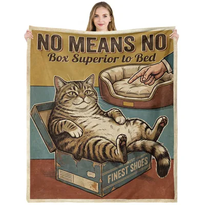 Funny Cat Blanket: No Means No, Box Superior to Bed