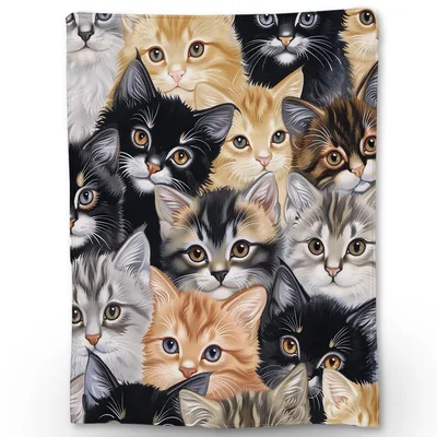 Cute Kittens Blanket for Cat Lovers and Their Cozy Corners