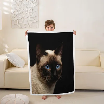 Siamese Cat Portrait Blanket: Focused Blue-Eyed Feline Print