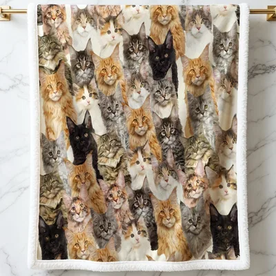 Cat Photo Blanket: Realistic Kitty Collage Design for Feline Lovers