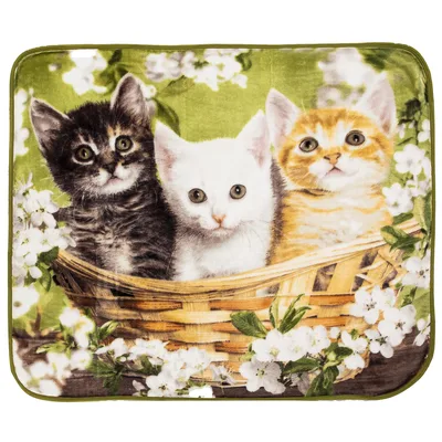 Blanket Basket Three Kittens Nestled in a Woven Flower Basket