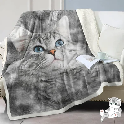 Gray Kitten Face Portrait Blanket for Cat Lovers