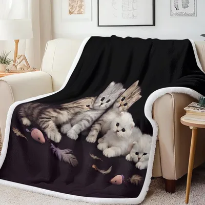 Six Persian Cats Design Blanket: Fluffy Kittens and Feathers