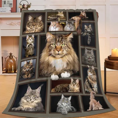 Maine Coon Cat Photo Blanket: Fluffy Feline Collage for Lovers