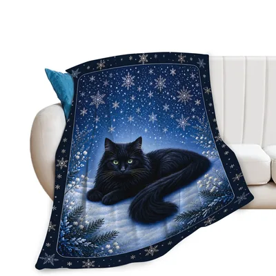 Black Cat on Snowy Blanket: Fluffy Feline in a Winter Night
