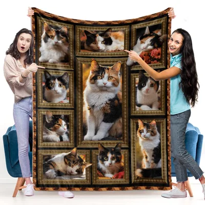 Calico Cats in Frames Blanket: A Gallery of Tri-Color Felines