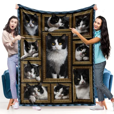 Tuxedo Cats in Frames Blanket: A Gallery of Black and White Felines