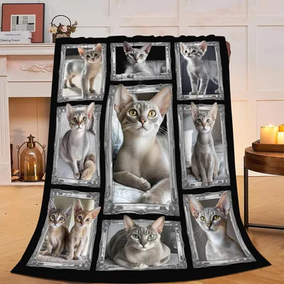 Abyssinian Cats in Frames Blanket: A Gallery of Feline Portraits