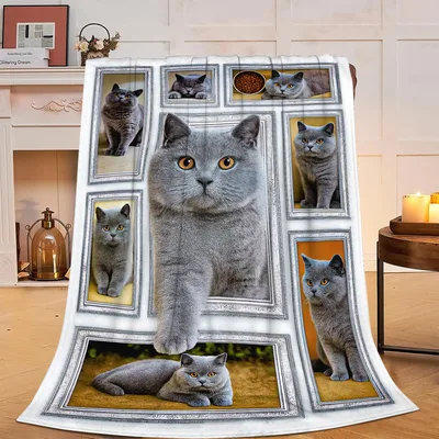 Gray Cat Photo Collage Blanket: Furry Friends in Silver Frames