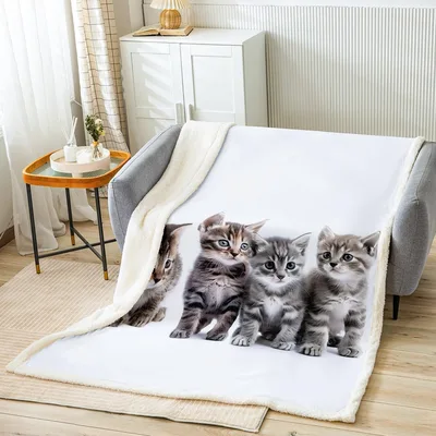 Little Gray Kittens Photo Blanket: Adorable Tabby Print for Cat Lovers