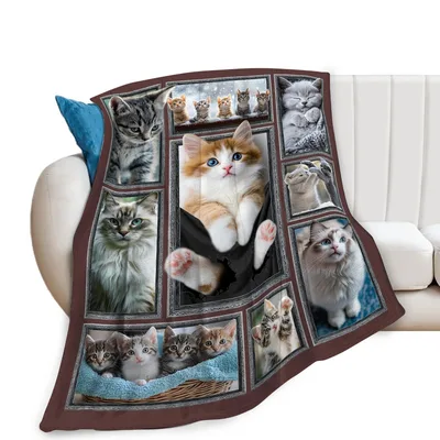 Cats in Photo Frames Blanket: A Collage of Kitten Portraits