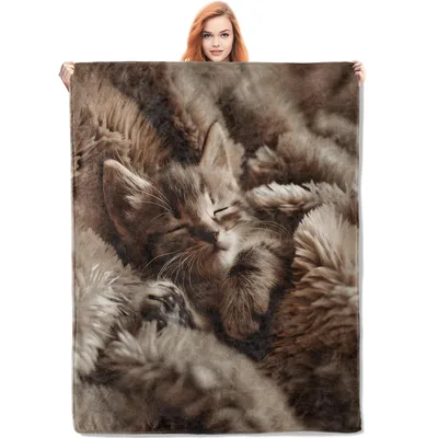 Sleeping Kitten Photo Blanket: Cozy Feline Sleep Design for Cat Lovers