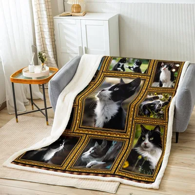 Cute Cats Photo Collage Blanket: Framed Holstein Cat Art