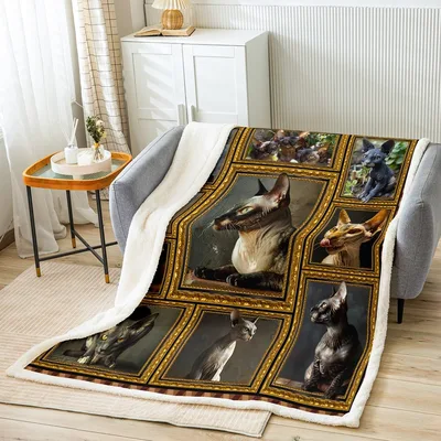 Sphynx Cat Photo Collage Blanket: Ornate Gold Frames