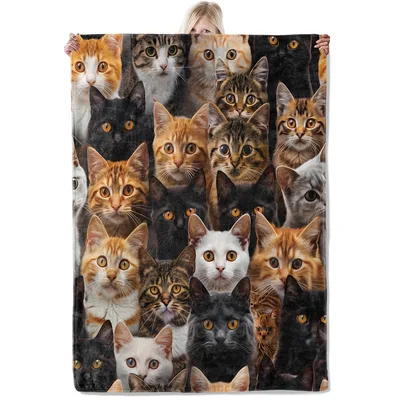 Cat Faces Collage Blanket: A Vibrant Mosaic of Tabby and Black Cats