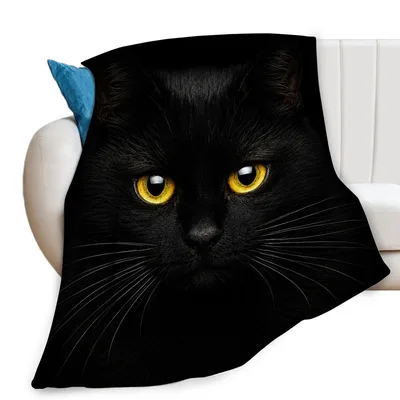 Black Cat Close Up Blanket: Intense Yellow Eyes and Soft Fur