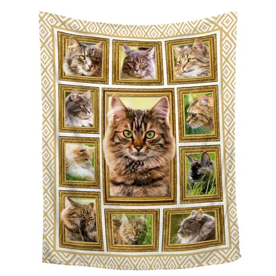Cats in Picture Frames Blanket: A Gallery of Feline Portraits