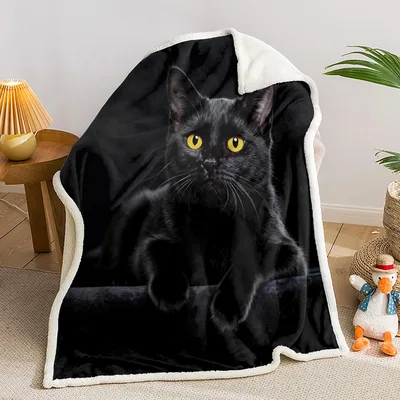 Hidden Black Cat Peeking Blanket: Realistic Feline Art for Lovers