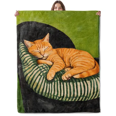 Orange Cat Sleeping Blanket: Tabby on Striped Cushion Design