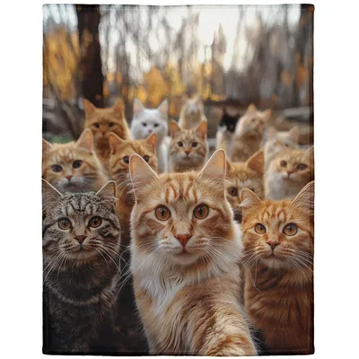 Group of Tabby Cats Blanket: A Large Feline Gathering Print
