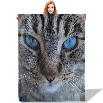 Blue Eyed Cat Close Blanket: A Tabby Feline Portrait