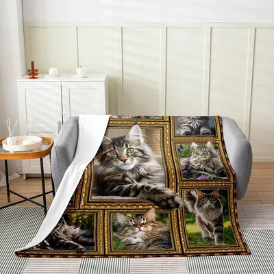 Maine Coon Cats in Golden Blanket: Ornate Feline Portraits