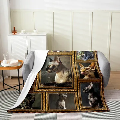 Sphynx Cat Photos Blanket: Ornate Gold Frames for Hairless Feline Art