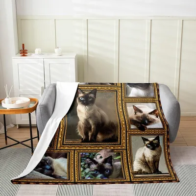 Siamese Cats in Frames Blanket