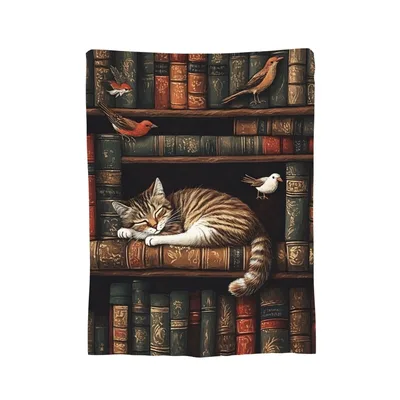 Cat Napping on Bookshelf Blanket for Library Lovers