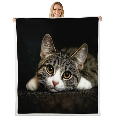 Tabby Cat Close Up Photo Blanket: Realistic Feline Portrait