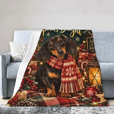 Christmas Dachshund in Scarf Blanket: Festive Winter Dog Design