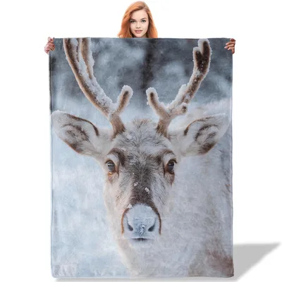 Winter Reindeer Portrait Blanket: Close-Up Winter Wildlife Design