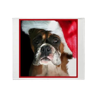 Boxer Dog in Santa Blanket: Wrinkled Face in Red Hat
