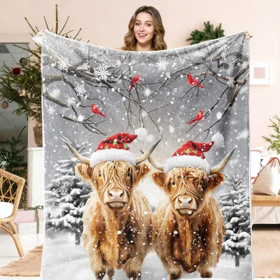Highland Cows in Christmas Snow Blanket: Two Shaggy Cattle