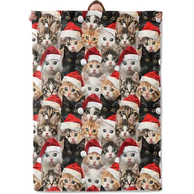 Christmas Cats in Santa Blanket: Furry Holiday Cheer