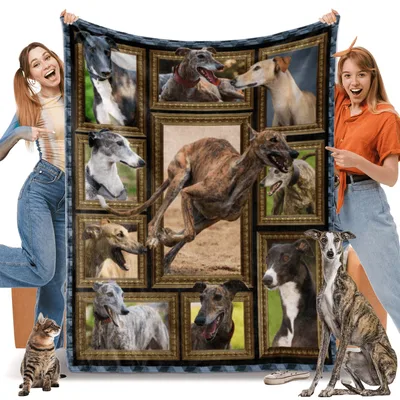 Greyhound Photo Frames Blanket: A Gallery of Sighthound Portraits