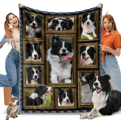 Border Collie Photo Frames Blanket: A Gallery of Happy Dogs
