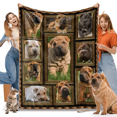 Shar Pei Dog Photo Blanket: Framed Wrinkles for Lovers