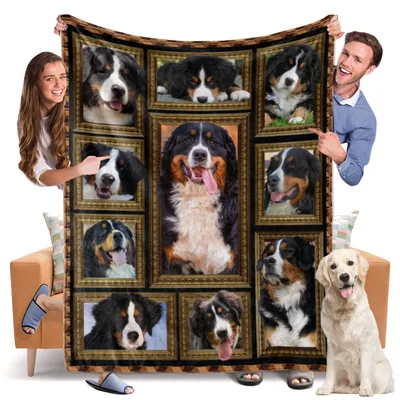 Bernese Mountain Dog Photo Blanket: A Gallery of Gentle Giants